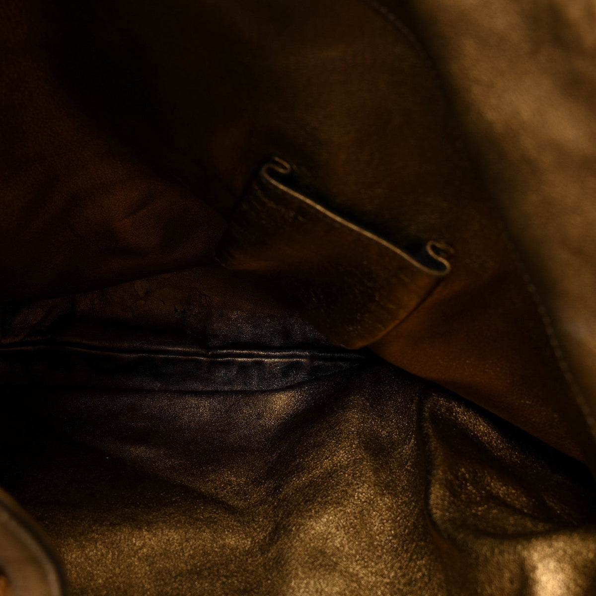 Snakeskin Large Indy Top Handle Hobo Gold